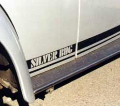 Silver Bug side stripe logo